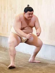 朝稽古で基礎運動のすり足を行う大の里=愛知県安城市の二所ノ関部屋宿舎