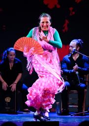 スペイン館のフラメンコショーで踊りを披露するアンパロ・ナバロさん=大阪市此花区の夢洲