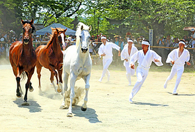 最終日に南相馬市小高区の相馬小高神社で行われる行事「野馬懸（のまかけ）」
