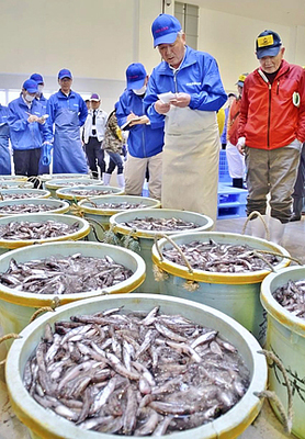 震災後初の入札による販売が行われたいわき市の小名浜魚市場＝４月３日