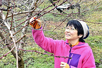 モモの木を剪定（せんてい）する寺山さん。「９年間闘ってきたからこそ、何でもできる気がする」と農業を通じた新たな取り組みを模索する