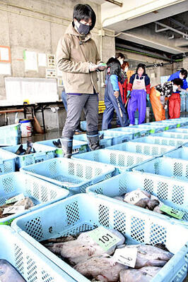 水揚げされた新鮮な「常磐もの」の競りに参加する阿部さん＝昨年１２月２８日、いわき市・久之浜地方卸売市場