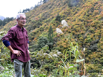 徐々に色づき始める金山町の山々。マタギである私にとっては狩猟が始まる合図だ。今年もまた自然への畏敬や共生を考えながら山に入る