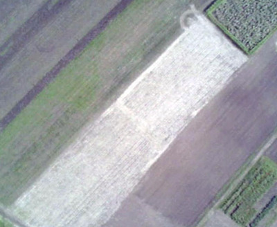 １号機が上空１００メートルから録画した北海道大の広大な農地。気分が悪くなるくらい映像が揺れていた