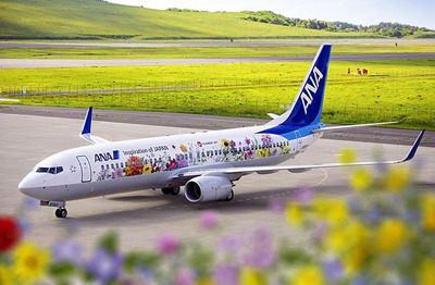 東北の花々がデザインされた「東北フラワージェット」。５年間にわたり運航された