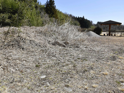 公園の一角に地上保管されている除染土壌。月日の経過で草木が生い茂る＝栃木県日光市