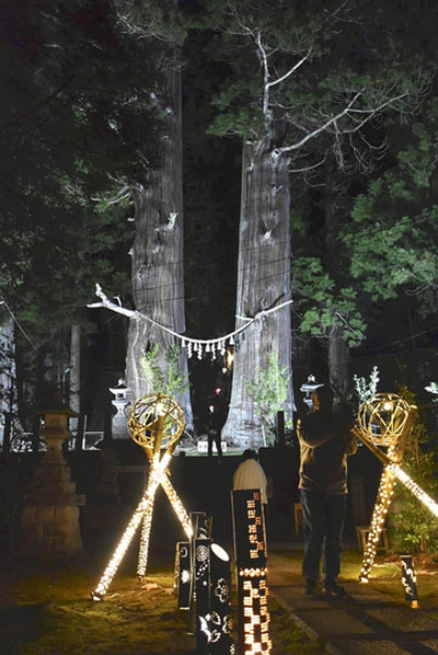 ライトアップが行われている夏井諏訪神社の翁杉と媼杉