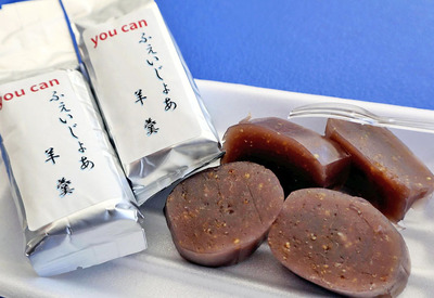 爽やかな酸味と優しい甘さが特徴のふぇいじょあ羊羹