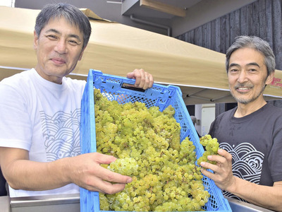 新酒の醸造作業に取り組む遠藤社長（左）と椎名さん