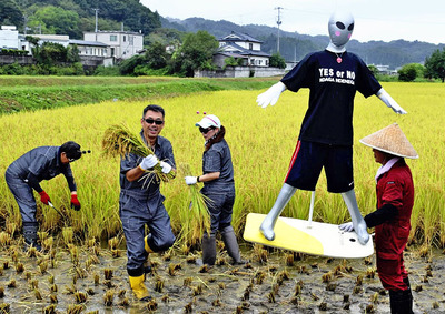 マスコット宇宙人「正太郎」に見守られながら稲刈りする会員ら