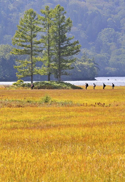 ハイカーの目を楽しませる草紅葉。後方は尾瀬沼＝２４日午前、檜枝岐村・大江湿原