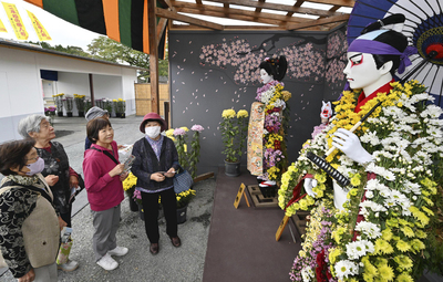 「華やぐ江戸文化～蔦屋重三郎の生きた世」をテーマにした「二本松の菊人形」を楽しむ来場者＝１０日午前、二本松市・霞ケ城公園