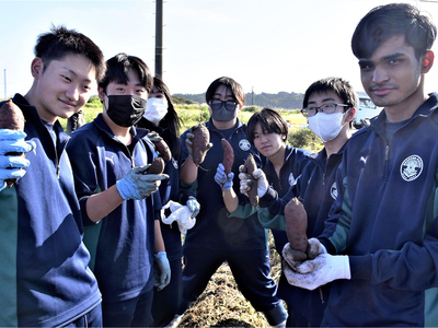 サツマイモ掘りに取り組んだ小名浜海星高の生徒＝楢葉町