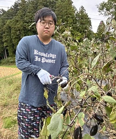 畑でナスを収穫する永久保さん。ジェラート作りに向け「食べた人の心が温かくなるジェラートを作りたい」と意気込む