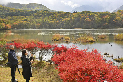 観音沼を囲む木々が色づき、見頃を迎えている観音沼森林公園＝２７日午前、下郷町