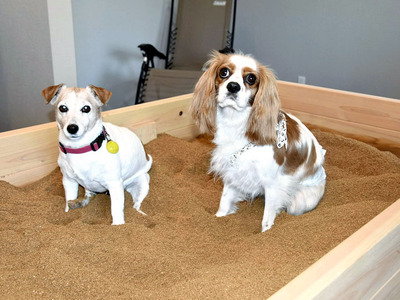 犬猫専用の酵素風呂