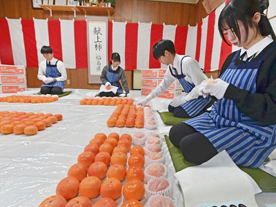 一つ一つ丁寧に磨かれ献上される会津身不知柿＝１９日午前、会津若松市