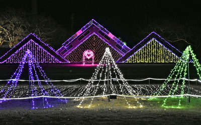 色とりどりの輝きを放つイルミネーション