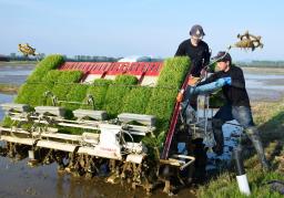 　田植え機に肥料を積み込む生産者＝１６日、秋田県大潟村