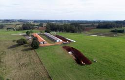 　ブラジル南部モンテネグロで鳥インフルエンザが検出され、地面に穴が掘られた養鶏場＝１７日（ロイター＝共同）
