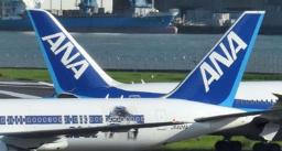 　ＡＮＡ機の尾翼＝羽田空港