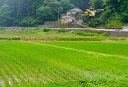 　水を張らない田んぼに肥料を散布するドローン＝１２日午前、愛知県新城市