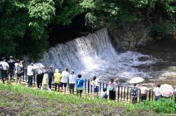 　香川県まんのう町の満濃池で行われた「ゆる抜き」＝１５日午後