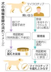 　犬の情報登録の流れ（イメージ）