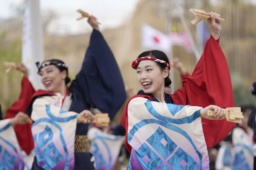 　高知県の夏の風物詩「よさこい」を踊るイベントで、演舞を披露する踊り子たち＝２６日午後、大阪市此花区の夢洲