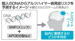 　個人のＤＮＡからアルツハイマー病発症リスクを予測するイメージ