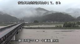 　大雨で増水した静岡市の安倍川＝１５日朝（国交省提供）