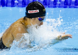 　女子５０メートル平泳ぎ予選　力泳する鈴木聡美＝シンガポール（共同）