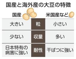 　国産と海外産の大豆の特徴