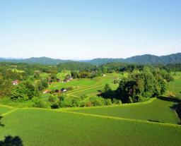 　たたら製鉄で用いた水路を再利用した棚田＝島根県奥出雲地域（奥出雲町提供）