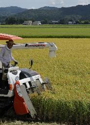 　コメの収穫作業＝８月、新潟県三条市
