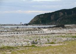 　能登半島地震で隆起した石川県輪島市の黒島海岸＝２４年８月