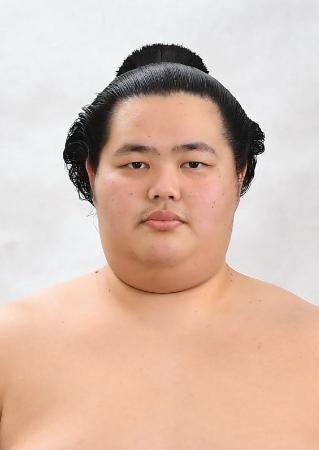 　琴桜