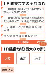 　ＩＲ開業までの主な流れ