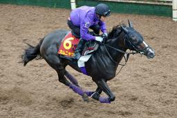 　秋華賞に向け、調整するカムニャック＝栗東トレーニングセンター