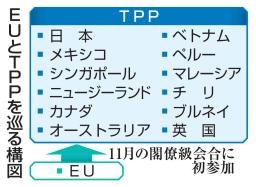 　ＥＵとＴＰＰを巡る構図