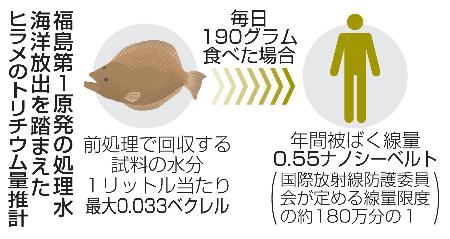 　福島第１原発の処理水海洋放出を踏まえたヒラメのトリチウム量推計