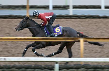 　菊花賞に向け、調整するエリキング＝栗東トレーニングセンター