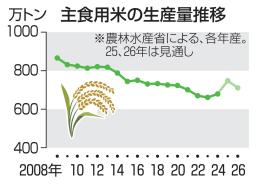　主食用米の生産量推移