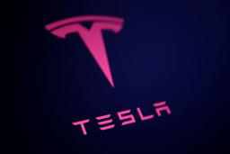　米テスラのロゴ＝７月（ロイター＝共同）