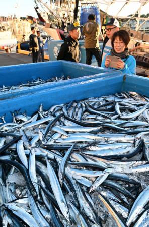 小名浜港で今季初めて水揚げされた秋の味覚サンマ=27日午前、福島県いわき市