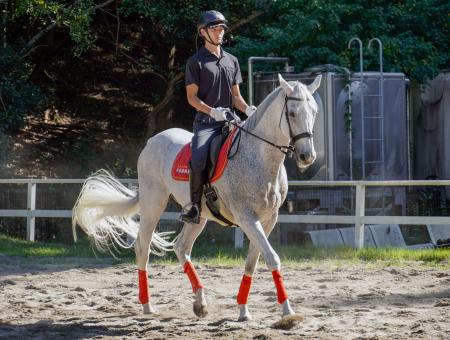 平安騎馬隊の馬に乗り訓練する京都府警の隊員=9日、京都市左京区