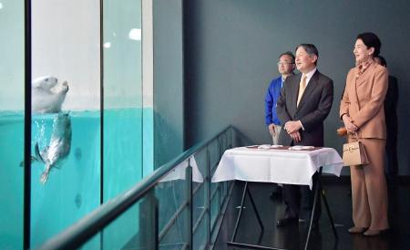 　三重県鳥羽市の鳥羽水族館を訪れ、ラッコを視察される天皇、皇后両陛下＝８日午後（代表撮影）