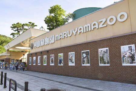 　円山動物園＝２０２２年、札幌市