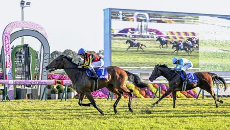 　第５０回エリザベス女王杯を制したレガレイラ（左）と２着のパラディレーヌ＝京都競馬場