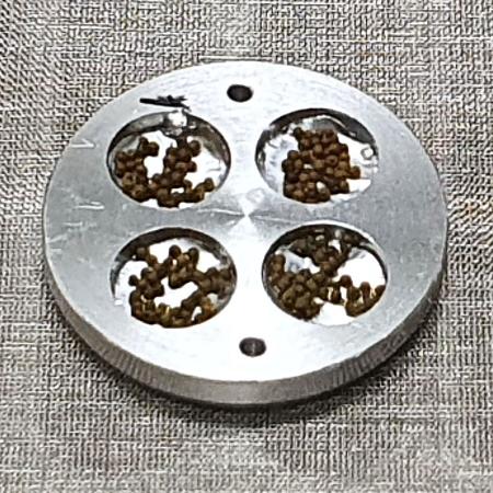 　実験装置に入れたコケ胞子の粒。１粒に約４千個の胞子が入っている（藤田知道教授ら提供）